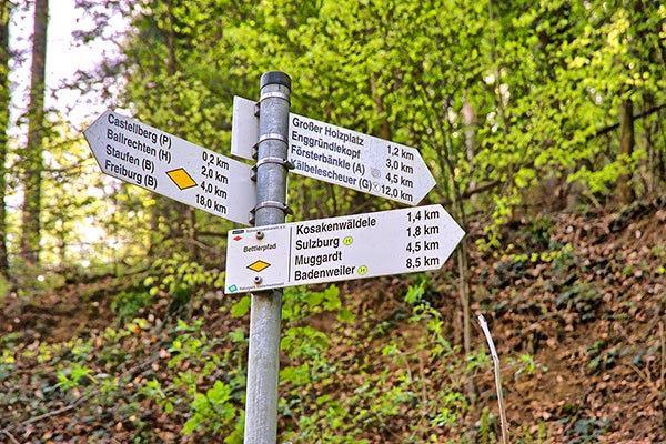 Wandern rund um Sulzburg