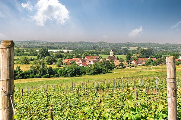 Blick auf Sulzburg-St. Ilgen