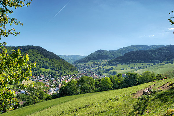 Bezaubernde Schwarzwaldlandschaft in Münstertal